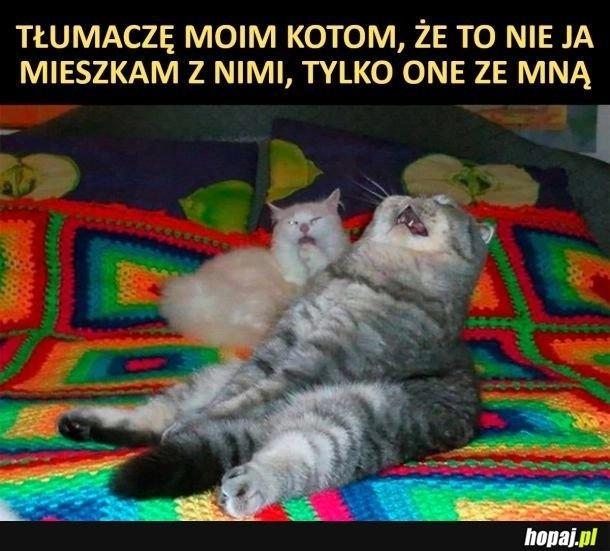 Jednak jest na odwrót xd