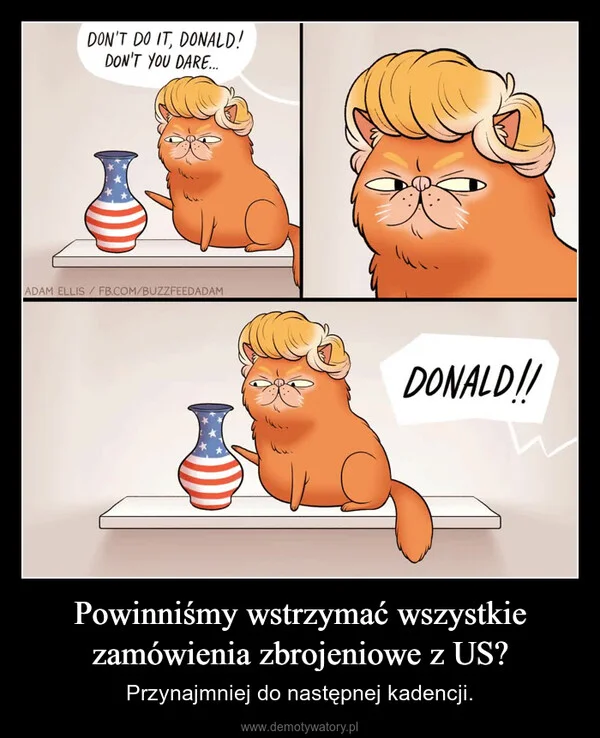 Powinniśmy wstrzymać wszystkie zamówienia zbrojeniowe z US?
