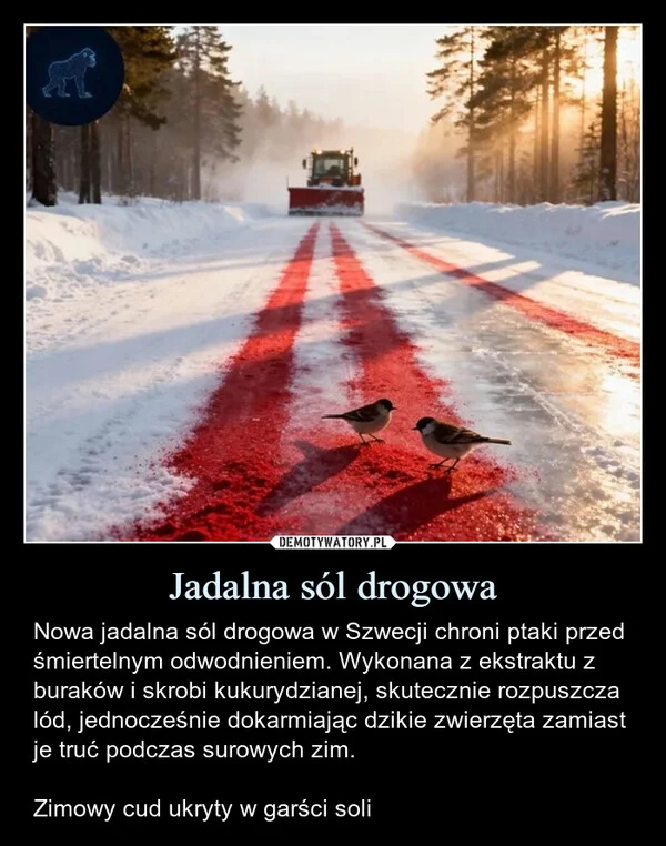 
    Jadalna sól drogowa
