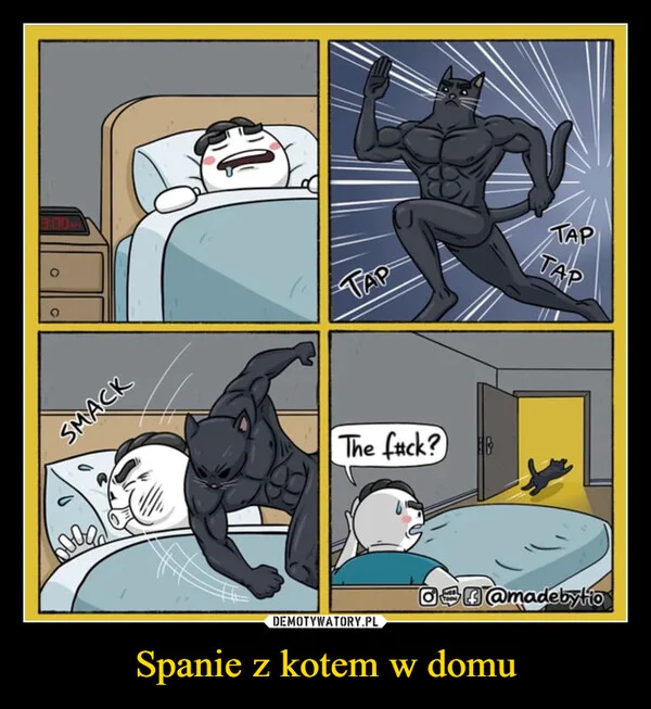 Spanie z kotem w domu