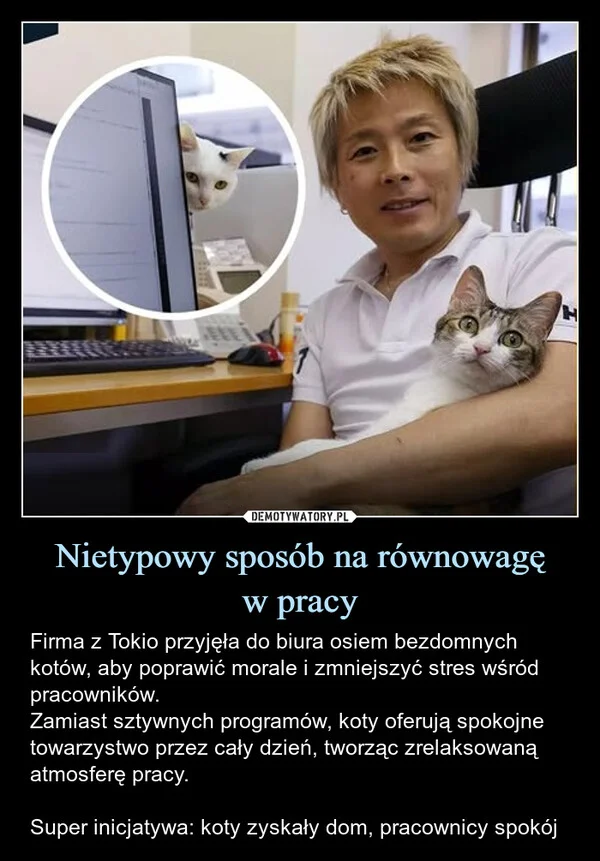 Nietypowy sposób na równowagę w pracy
