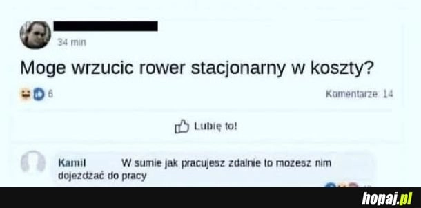 Rower