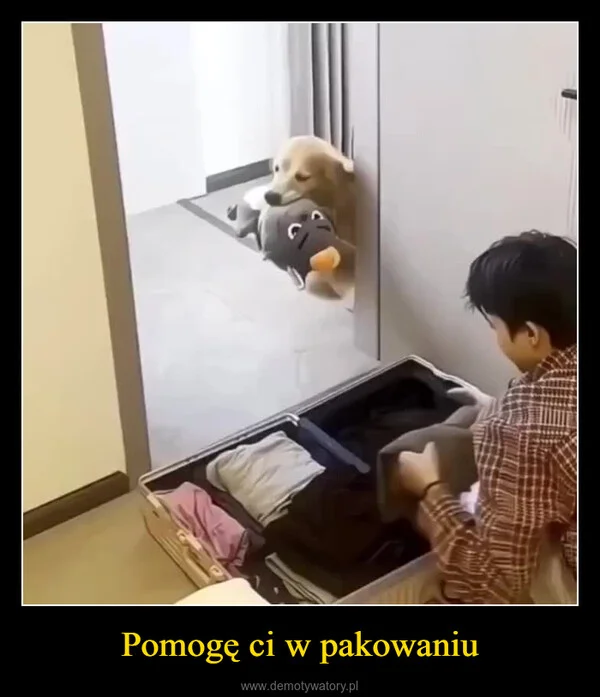 
    Pomogę ci w pakowaniu