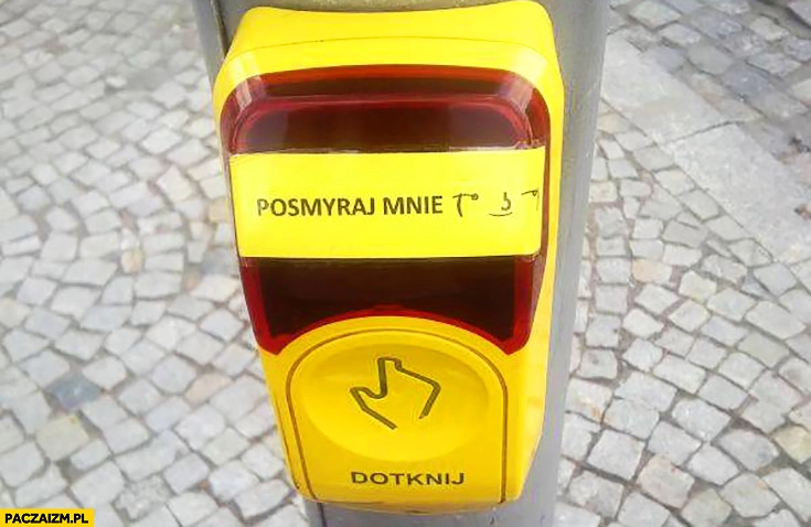 
    Posmyraj mnie dotknij przycisk sygnalizacji świetlnej przejścia przez jezdnię