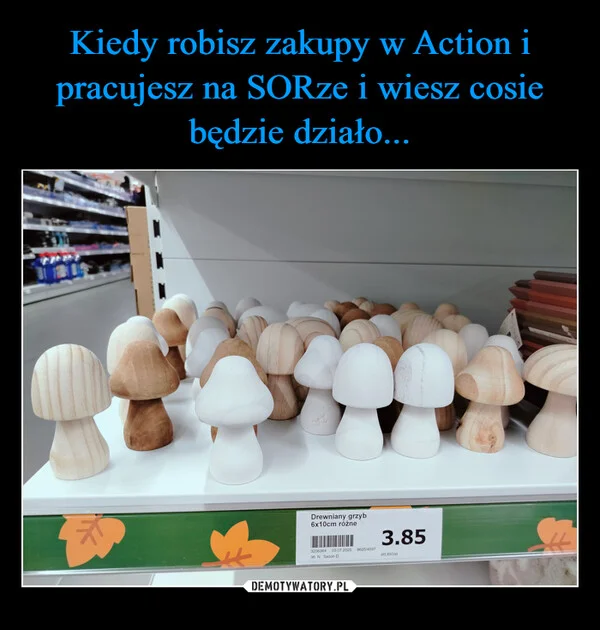 
    Kiedy robisz zakupy w Action i pracujesz na SORze i wiesz cosie będzie działo...