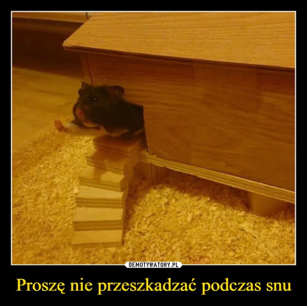 
    Proszę nie przeszkadzać podczas snu