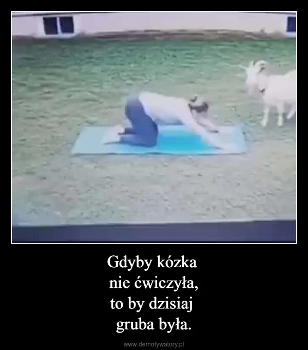 
    Gdyby kózka nie ćwiczyła, to by dzisiaj gruba była.