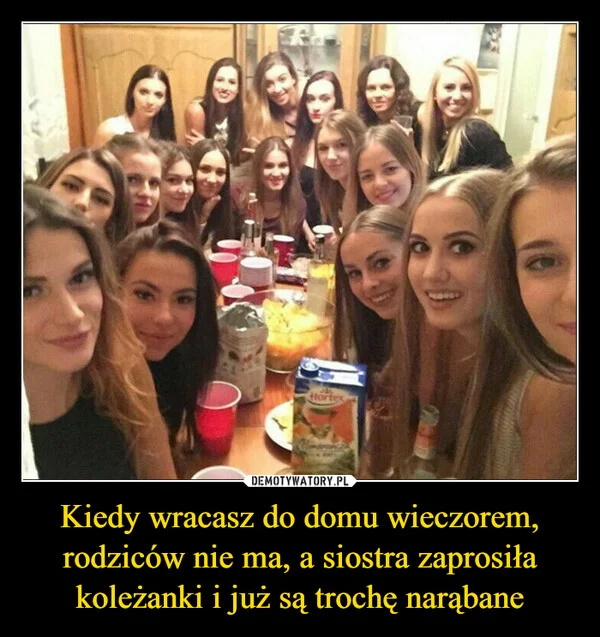 
    Kiedy wracasz do domu wieczorem, rodziców nie ma, a siostra zaprosiła koleżanki i już są trochę narąbane