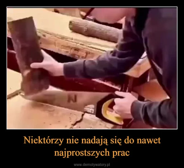 
    Niektórzy nie nadają się do nawet najprostszych prac