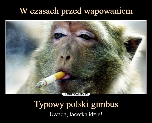 W czasach przed wapowaniem Typowy polski gimbus