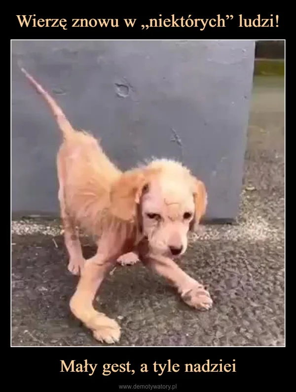 
    Wierzę znowu w „niektórych” ludzi! Mały gest, a tyle nadziei