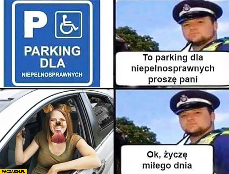 
    To jest parking dla niepełnosprawnych snapchat pies ok życzę miłego dnia