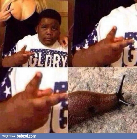 Ślimak Ślimak wystaw rogi!