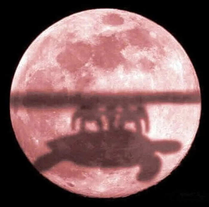 
    Lunar eclipse photos online