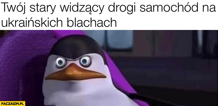 Twój stary widzący drogi samochód na ukraińskich blachach wkurzony zły pingwin
