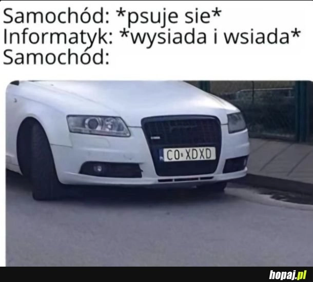 Zawsze dziala