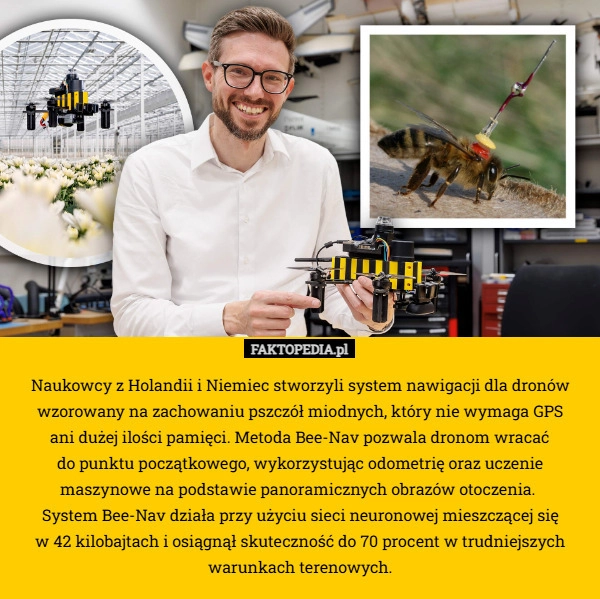 Naukowcy z Holandii i Niemiec stworzyli system nawigacji dla dronów wzorowany