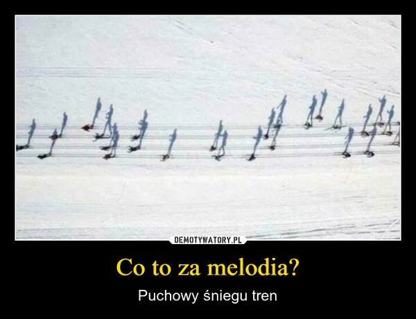Co to za melodia?