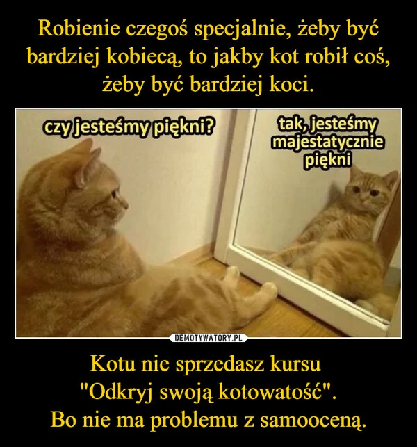 
    Robienie czegoś specjalnie, żeby być bardziej kobiecą, to jakby kot robił coś, żeby być bardziej koci. Kotu nie sprzedasz kursu 
