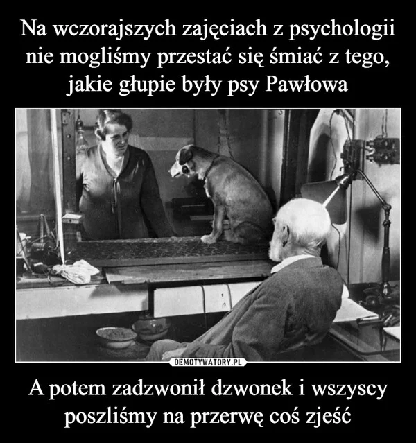 
    Na wczorajszych zajęciach z psychologii nie mogliśmy przestać się śmiać z tego, jakie głupie były psy Pawłowa A potem zadzwonił dzwonek i wszyscy poszliśmy na przerwę coś zjeść