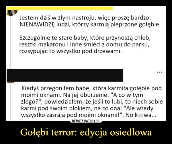 
    Gołębi terror: edycja osiedlowa