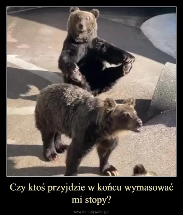 
    Czy ktoś przyjdzie w końcu wymasować mi stopy?