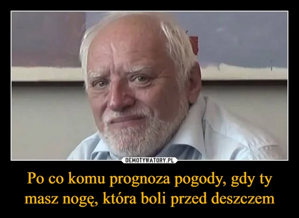 
    Po co komu prognoza pogody, gdy ty masz nogę, która boli przed deszczem