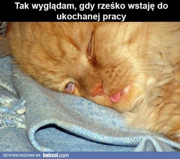
    Jest pięknie