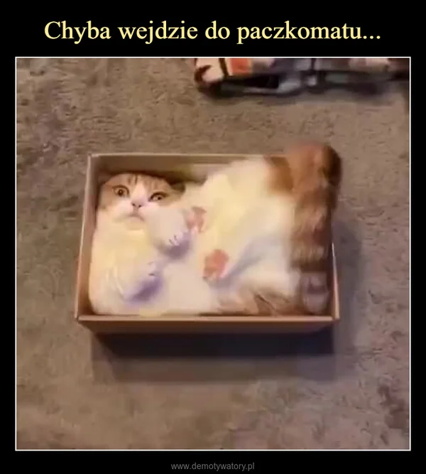 
    Chyba wejdzie do paczkomatu...