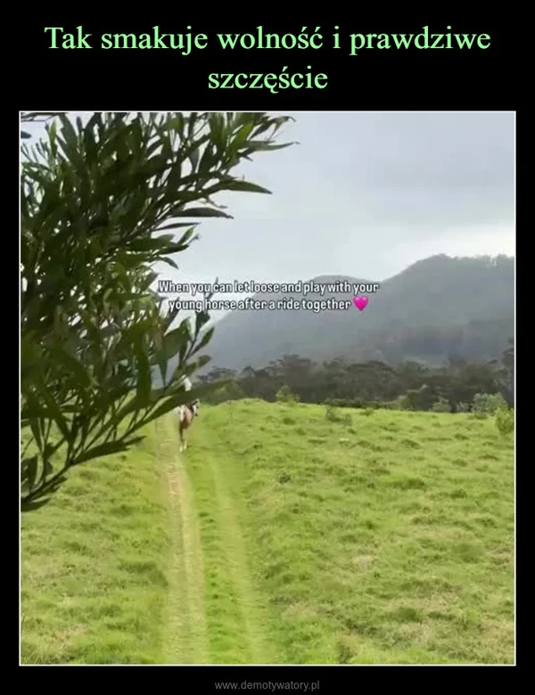 
    Tak smakuje wolność i prawdziwe szczęście