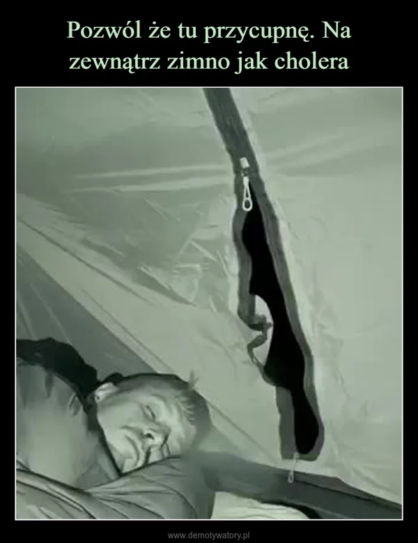 Pozwól że tu przycupnę. Na zewnątrz zimno jak cholera
