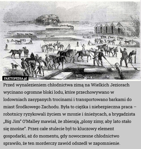 
    Przed wynalezieniem chłodnictwa zimą na Wielkich Jeziorach wycinano ogromne