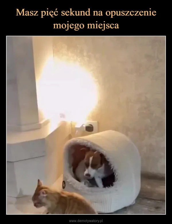 
    Masz pięć sekund na opuszczenie mojego miejsca