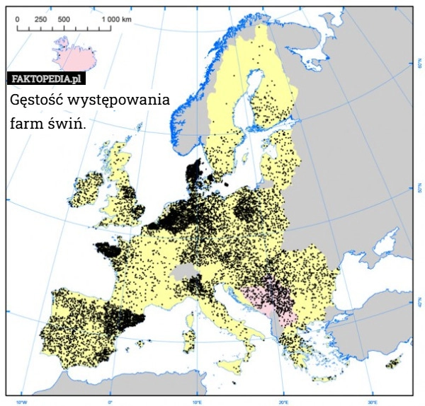 
    Gęstość występowania
farm świń.