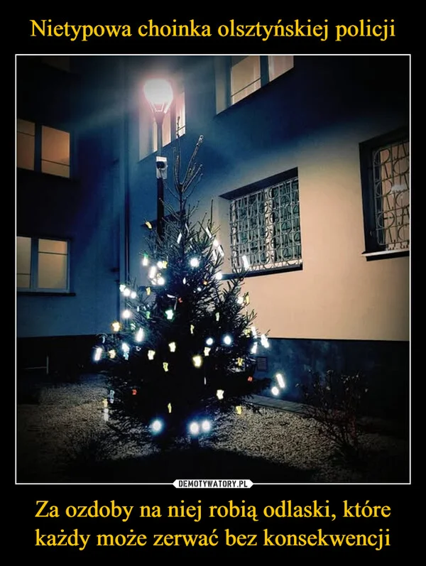 
    Nietypowa choinka olsztyńskiej policji Za ozdoby na niej robią odlaski, które każdy może zerwać bez konsekwencji