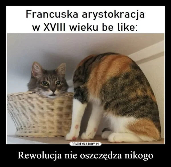 
    Rewolucja nie oszczędza nikogo
