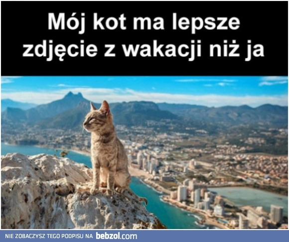 
    Koteł 