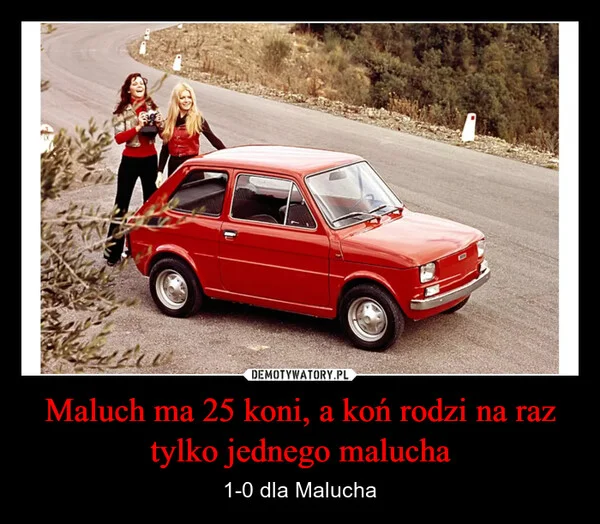 
    Maluch ma 25 koni, a koń rodzi na raz tylko jednego malucha