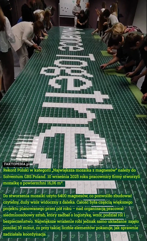 
    Rekord Polski w kategorii „Największa mozaika z magnesów” należy do Solventum