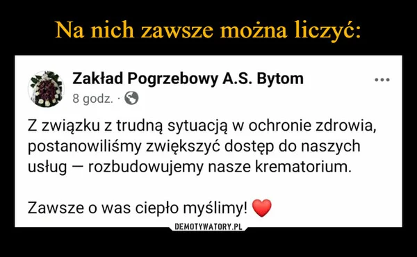 
    Na nich zawsze można liczyć: