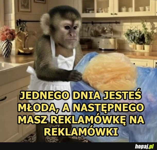
    Czas szybko płynie