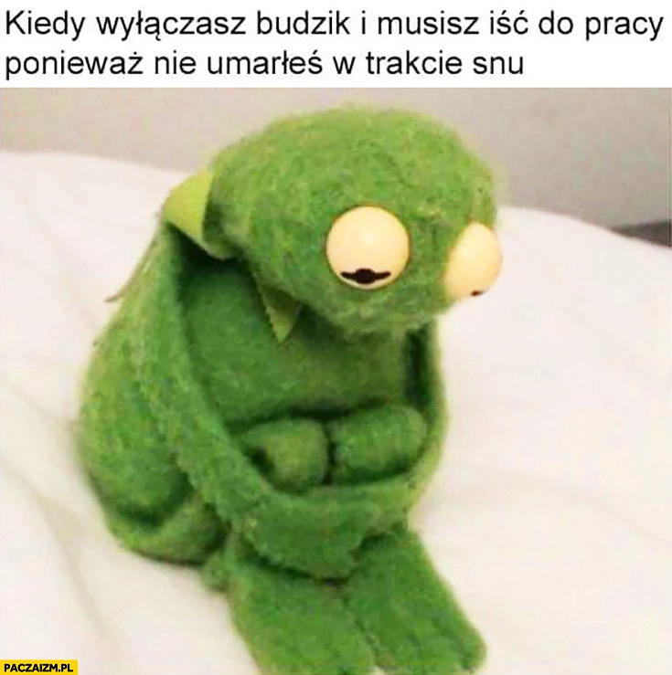 Kiedy wyłączasz budzik i musisz iść do pracy ponieważ nie umarłeś w trakcie snu Kermit