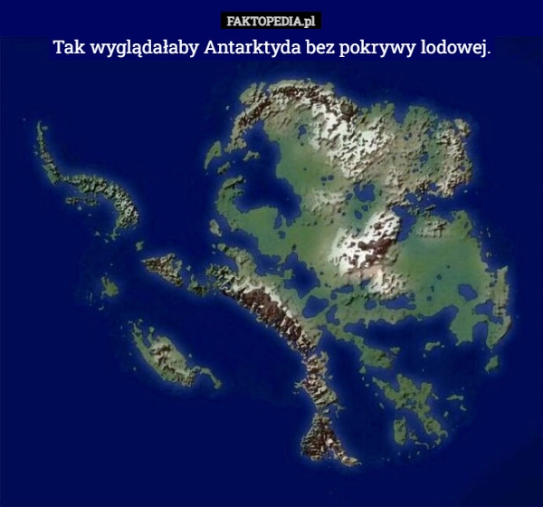 
    Tak wyglądałaby Antarktyda bez pokrywy lodowej.