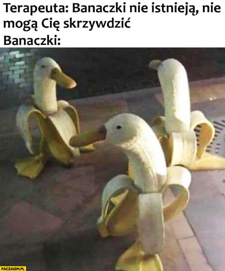 Terapeuta: banaczki nie istnieją, nie mogą Cię skrzywdzić. Banaczki banano-kaczki banan kaczka