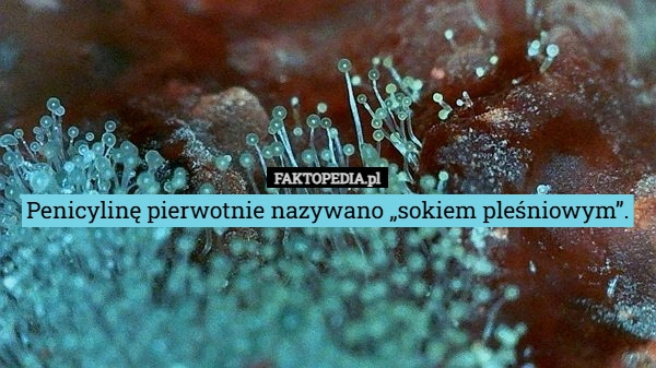 
    Penicylinę pierwotnie nazywano „sokiem pleśniowym”.