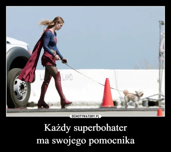 
    Każdy superbohater ma swojego pomocnika