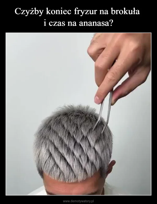 
    Czyżby koniec fryzur na brokuła i czas na ananasa?