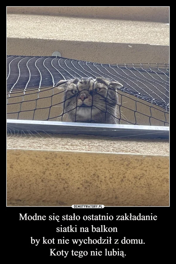 
    Modne się stało ostatnio zakładanie siatki na balkon by kot nie wychodził z domu. Koty tego nie lubią.