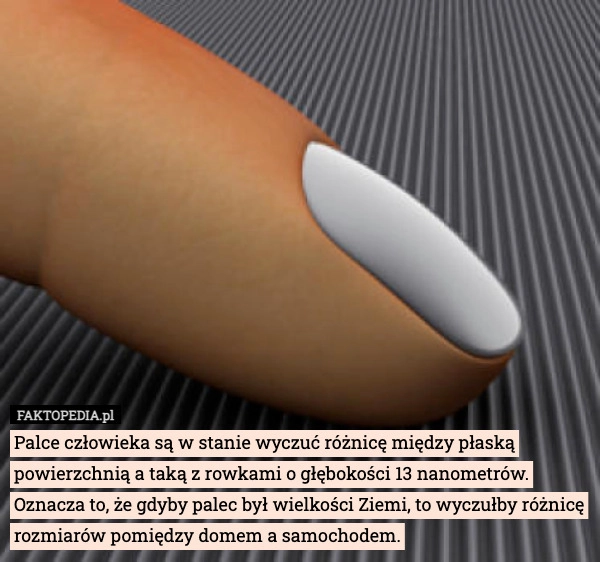 Palce człowieka są w stanie wyczuć różnicę między płaską powierzchnią a