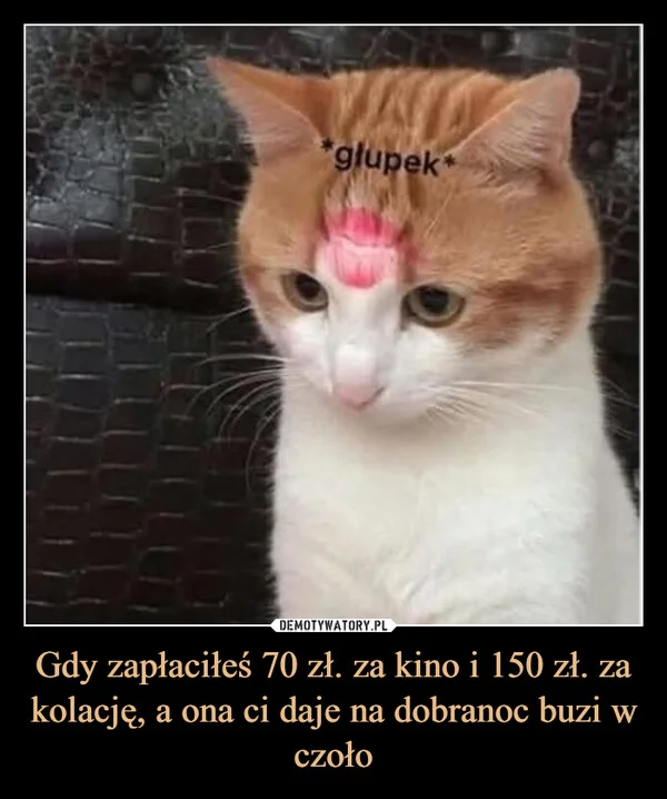 
    Gdy zapłaciłeś 70 zł. za kino i 150 zł. za kolację, a ona ci daje na dobranoc buzi w czoło